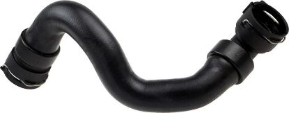 Radiator Hose -