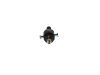 lnjection Pump -