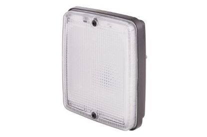 Reverse Light -