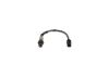 Oxygen Sensor -