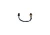 Oxygen Sensor -
