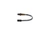 Oxygen Sensor -