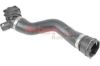 Radiator Hose -
