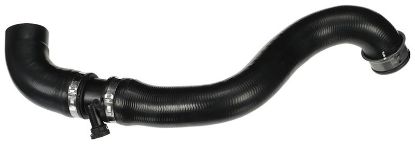Radiator Hose -