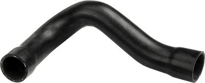 Radiator Hose -