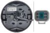 Tail Light Assembly -