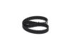 Timing Belt -