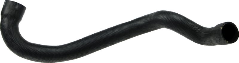 Radiator Hose -