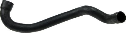 Radiator Hose -