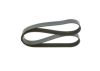 V-Ribbed Belt -