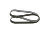 V-Ribbed Belt -
