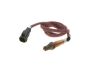 Oxygen Sensor -