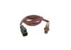 Oxygen Sensor -