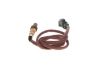 Oxygen Sensor -
