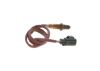 Oxygen Sensor -