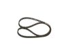 Timing Belt -