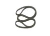V-Ribbed Belt -