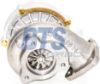 Charger, charging (supercharged/turbocharged) -