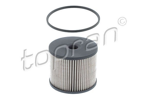 Fuel Filter PSA, Fiat