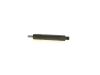 Nozzle and Holder Assembly 477953 VOLVO
