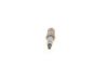 Spark Plug -