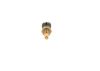 Sensor, coolant temperature MN180316 MITSUBISHI