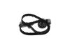 Timing Belt Kit -