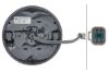 Tail Light Assembly -