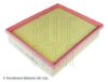 Air Filter GENERAL MOTORS - 25062055