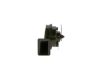 Trumpet Horn -