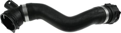 Radiator Hose -