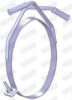 Mount, exhaust system -