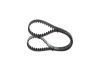 Timing Belt -