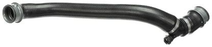 Radiator Hose -