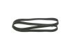 V-Ribbed Belt -
