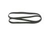 V-Ribbed Belt -