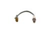 Oxygen Sensor -