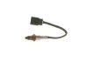 Oxygen Sensor -