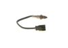 Oxygen Sensor -