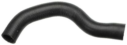 Radiator Hose -