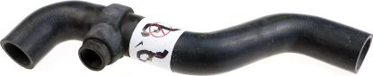 Radiator Hose -
