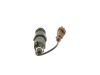Nozzle and Holder Assembly 16600 7F406 NISSAN