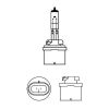 Bulb, front fog light H27W/1 27W PG13