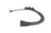 Ignition Cable Kit -