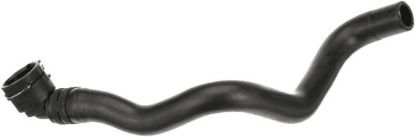 Radiator Hose -