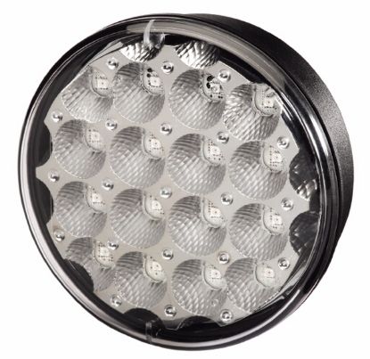 Rear Fog Light -