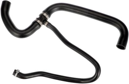 Radiator Hose -