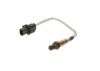 Oxygen Sensor -