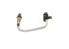Oxygen Sensor -