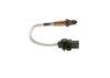 Oxygen Sensor -